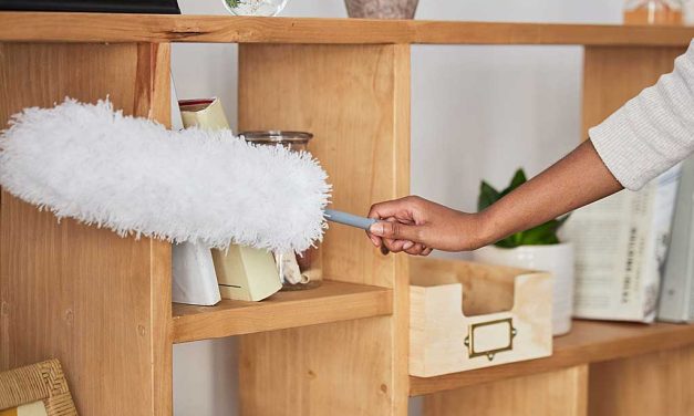 27 Ways to Reduce Dust in Your House and Keep It Away | Mobi Cleaning Canada