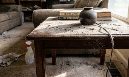 7 Best Tips to Get Rid of House Dust for Good