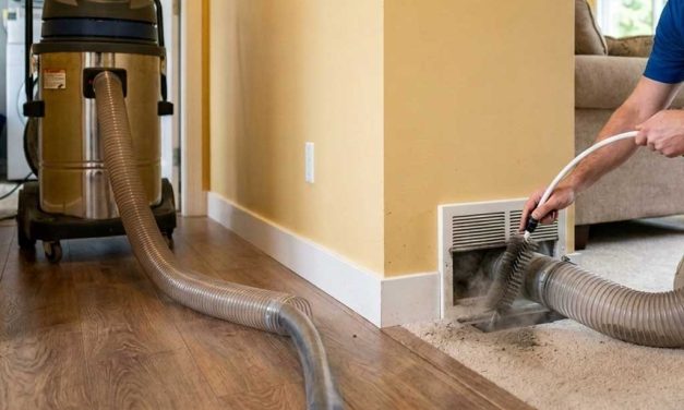 Best Furnace and Duct Cleaning Methods for Allergy Relief