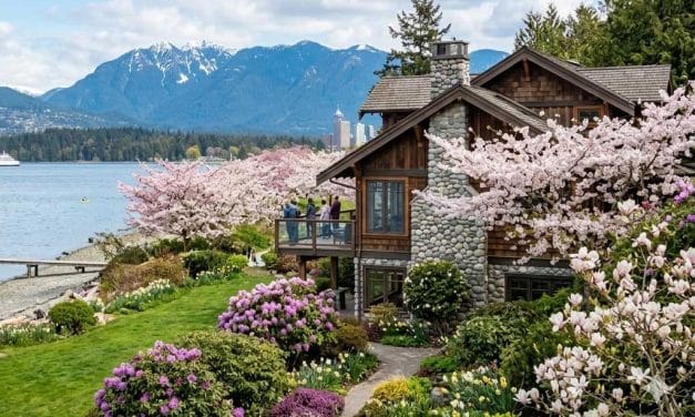 Best Home Spring Cleaning Checklist and Schedule