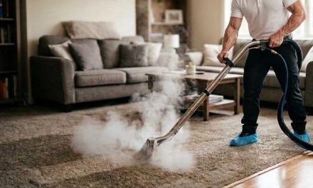 Best Way to Deep Clean Carpets | Expert Rug Shampooing Guide