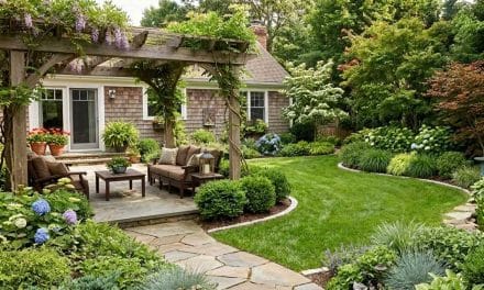 Guidelines for Tidying Up the Back Garden: A Step-by-Step Tutorial