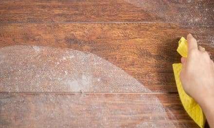 How Often Should You Dust Your Home? A Complete Guide to Indoor Air Quality