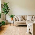 How to Clean Up Your Home: Mobi Cleaning’s Guide to a Healthier Indoor Environment
