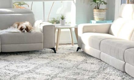 How to Freshen Carpet Naturally: Simple Ways to Keep Your Home Smelling Clean
