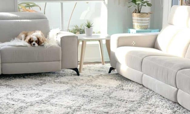 How to Freshen Carpet Naturally: Simple Ways to Keep Your Home Smelling Clean