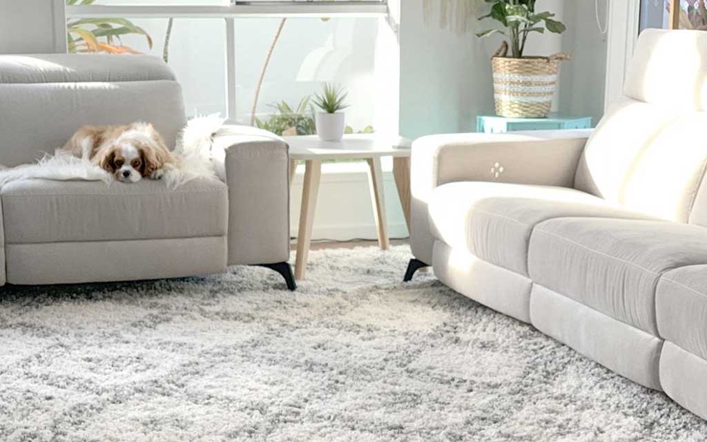 How to Freshen Carpet Naturally: Simple Ways to Keep Your Home Smelling Clean