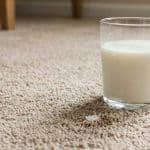 How to Get Milk Smell Out of Carpet (Stain Removal & Odor Fixes)