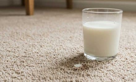 How to Get Milk Smell Out of Carpet (Stain Removal & Odor Fixes)