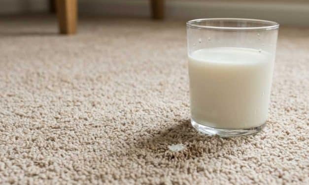 How to Get Milk Smell Out of Carpet (Stain Removal & Odor Fixes)