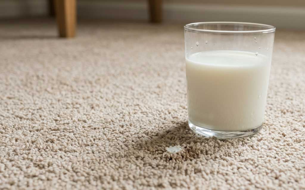 How to Get Milk Smell Out of Carpet (Stain Removal & Odor Fixes)