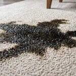 How to Get Oil Stains Out of Carpet: Mobi Cleaning’s DIY Stain Removal Guide