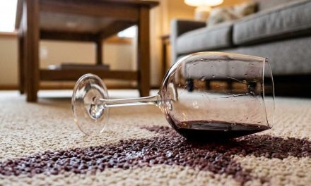 How to Get Red Wine Out of Carpet: Step-by-Step Stain Removal Guide
