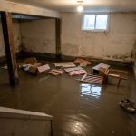 How to Prepare for Mold Remediation: Professional Homeowners Guide