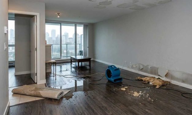 How to Prevent and Mitigate Water Damage in Your Home