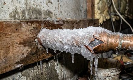 How to Prevent Water Damage & Mold After a Pipe Burst