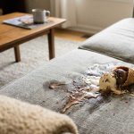 How to Remove Stains and Dye from Upholstery and Couch Fabric