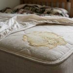 How to Remove Urine Stains From a Mattress: Complete Mattress Cleaning Guide