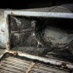 Mold in Your Air Ducts? Here’s How to Remove It for Good from Your BC Home