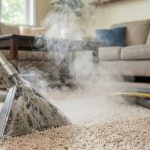 Signs Your Business Needs Carpet Cleaning in Vancouver