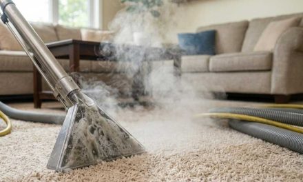 Signs Your Business Needs Carpet Cleaning in Vancouver