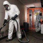 What Happens During Mold Remediation? Professional Mold Removal Guide