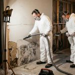 What is the Difference Between Mold Removal and Mold Remediation?