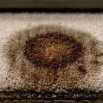 Why Did My Carpet Turn Yellow or Brown After Cleaning?