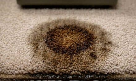 Why Did My Carpet Turn Yellow or Brown After Cleaning?