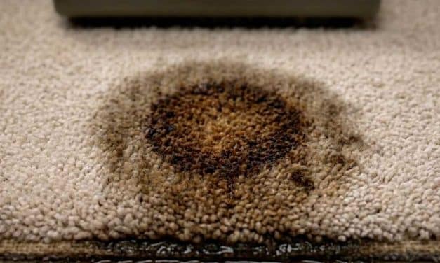 Why Did My Carpet Turn Yellow or Brown After Cleaning?