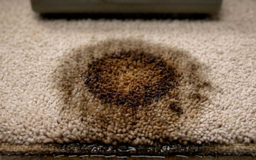 Why Did My Carpet Turn Yellow or Brown After Cleaning?