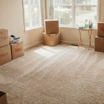 Your Ultimate Guide to Move-Out Carpet Cleaning