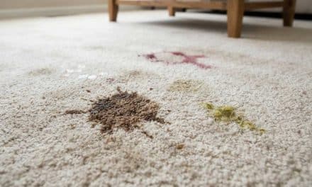 How to Eliminate Carpet Stains Top 5 Spots & Spills