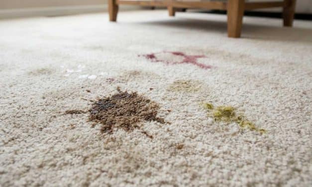 How to Eliminate Carpet Stains Top 5 Spots & Spills