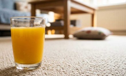 How to Get Juice Stains Out of Carpet: Step-by-Step Guide