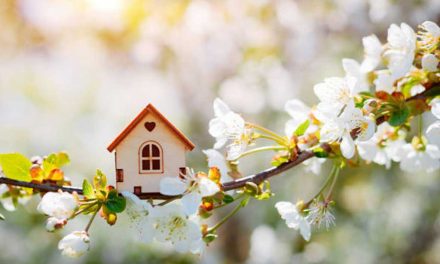 Include Professional Duct Cleaning in Your Annual Spring Clean for a Healthier Living Space