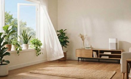 Safeguard the Air Quality Inside Your Home