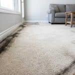 How to Get Rid of Dark Lines Around Carpet Edges