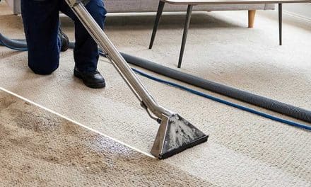 7 Reasons to Hire a Professional Carpet Cleaner for Your Home