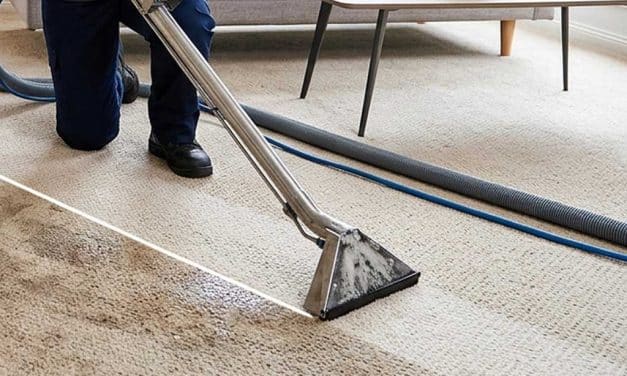 7 Reasons to Hire a Professional Carpet Cleaner for Your Home