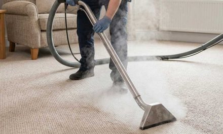 Best Carpet Cleaning Methods for Homes Pros Cons Which to Choose