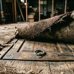 Whats Hiding Under Your Floor Weird Things Found Under Carpets